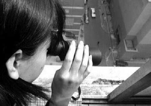 宁波婚姻调查：收养关系的成立要件